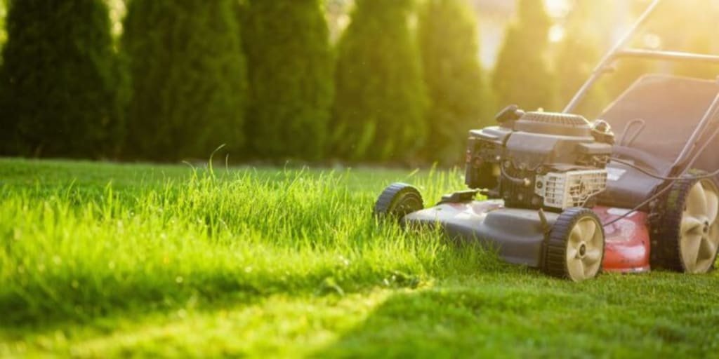 A lawn mower mowing a lawn in the sun